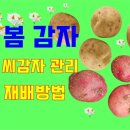 한양농자재주식회사 이미지