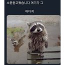 뷰티공원