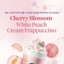 스타벅스 수영망미DT점 네이버블로그