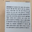 조인트 동물병원 | 강아지 슬개골 탈구 2기 영양제 조인트밸런스로 관리