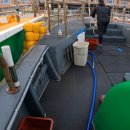 완도20호 이미지