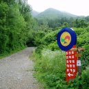 서대산주유소 네이버블로그