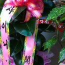 낙지한마당 이미지