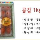 파수몰