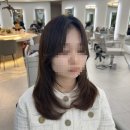 여자머리, 일산남자머리/ 리안헤어일산후곡마을점에서 일상의 작은 변화를 위해 헤어 스타일링 하고온후기