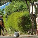 나의오후 이미지