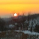 따스하개 이미지