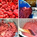 딸기마을 이미지