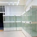 달달한 고양이 이미지