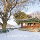 한양의지 이미지