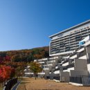하이원콘도미니엄사우나 이미지