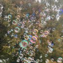 도음산 산림문화수련장 이미지