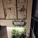 해나게스트하우스 민박 | 제주 애월읍 해나 게스트하우스 이용후기