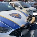 사하경찰서어린이집 이미지