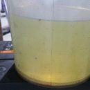 배산오토카 이미지