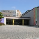 서울대학교 Daum카페