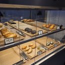 컴포즈커피강원홍천점 | [강원/홍천 카페] 신상 대형 카페 모놀로그 팔봉산 비발디파크 근처 | 내돈내산 후기