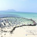 금능리마을회