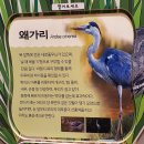 꽁이 - 중구 목중로 37 | 꽁이