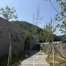원주에서 결혼하기- 2. 지오컨벤션 투어 및 계약 후기 / 견적 공유