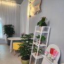 하루아늑 이미지