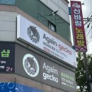 호반세탁소 | 광주/광산구 어게인게코 파충류샵 방문후기 - 입문, 분양, 초보