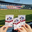 2022 상반기 결산 🌊⚾️🍿