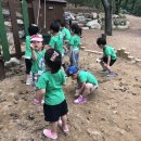 진해 유아숲체험원 이미지
