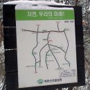 사패산- 때아닌 춘삼월 기막힌 눈꽃산행을 처음가는길로 (2010.3.10) 재작성 이미지