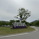 거창창포원 마음 정원 가꾸기(이끼 테라리움 만들기) | 거창 창포원 이동형 반려식물 클리닉 체험 후기 - 김정실 기자