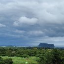 오조리-2 이미지