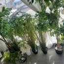 이서방치킨 이미지