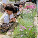 정원유치원 | 구암동 유치원 선택 팁: 정원유치원 알아보기