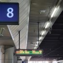 청룡 | [25부산_5] 강아지랑 부산역 KTX 청룡 탑승 후기