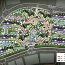 금성백조예미지 이미지