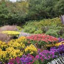 찬구농장 이미지