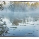 도래마을(홍기옥 가옥) 이미지