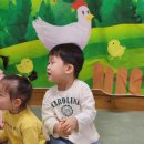 [3월 31일] 스토리뮤직 "닭과 병아리🐔🐤" 이미지