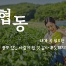 (주)케이탑