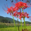 국민상사 이미지