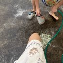 비엔토김녕 이미지