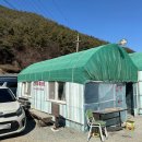 삼부자미나리 이미지