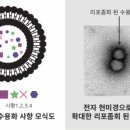 약수소생한의원 이미지