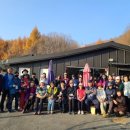 아침의 새소리 이미지