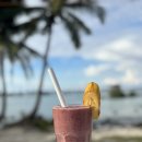 한가한 오후 | 필리핀 시아르가오 스무디볼 맛집 샤카 Shaka