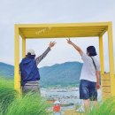 바람의핫도그 다대지점2 | 거제 여행 아이랑 가기 좋은 바람의 핫도그 카페