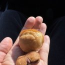 와촌(포항)휴게소 이미지