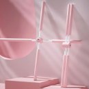 바른자세스트레칭 이미지