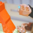 신상인농장 이미지