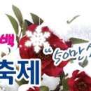 2013 신안 애기동백겨울꽃축제 이미지